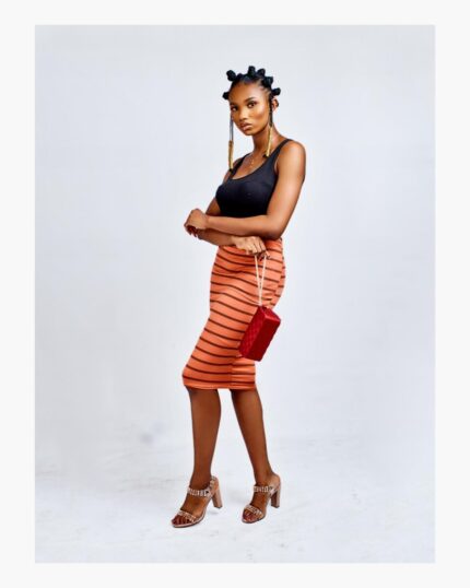 Burnt Orange Vertical Striped Midi Skirt